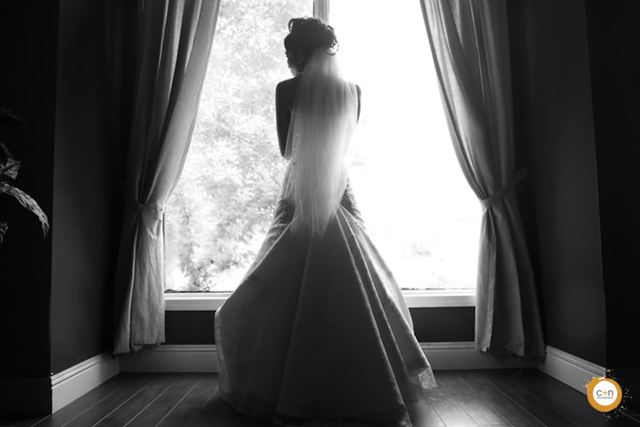 Full dress wedding photo