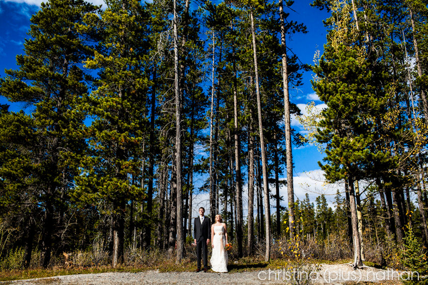 Quarry Lake Park Wedding-80