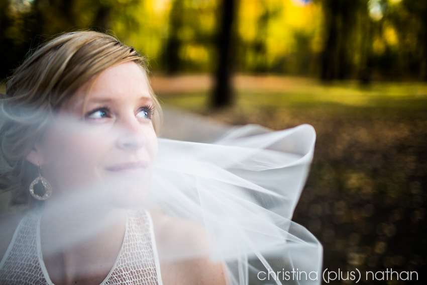 bridal portrait - prince's island park