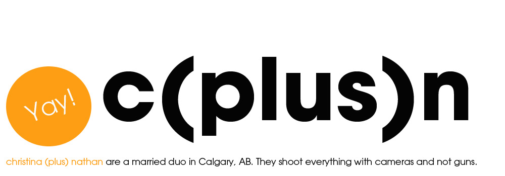 christina (plus) nathan: calgary wedding photographers