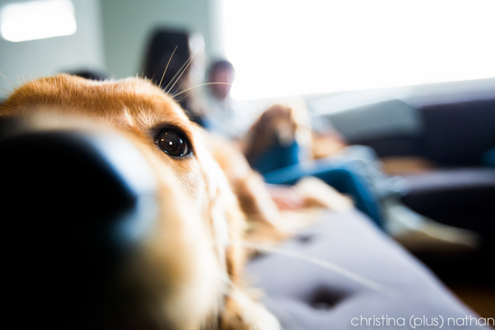 engagement-photography-1