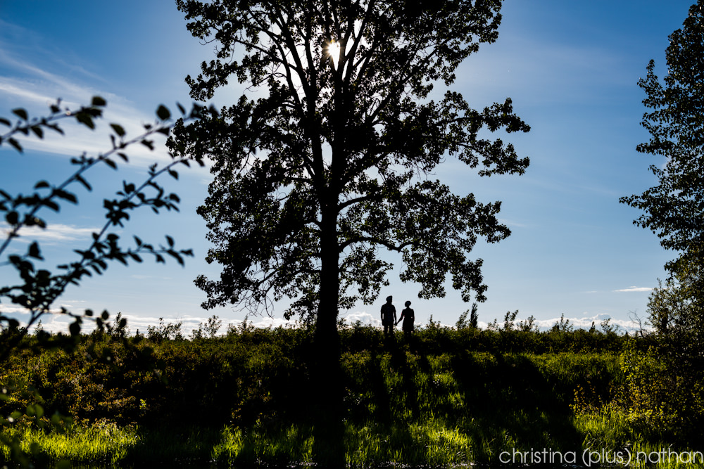 indian-wedding-engagement-1