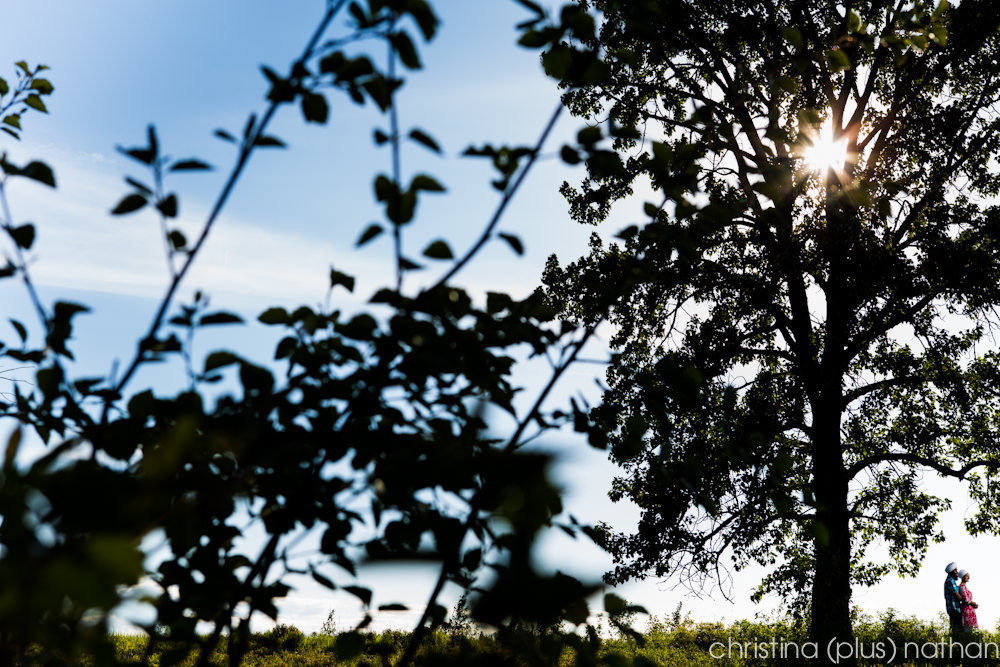 indian-wedding-engagement-3