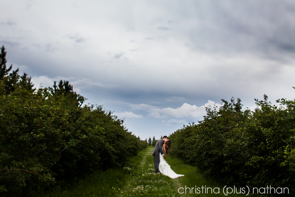 Saskatoon Berry Farms Weddings