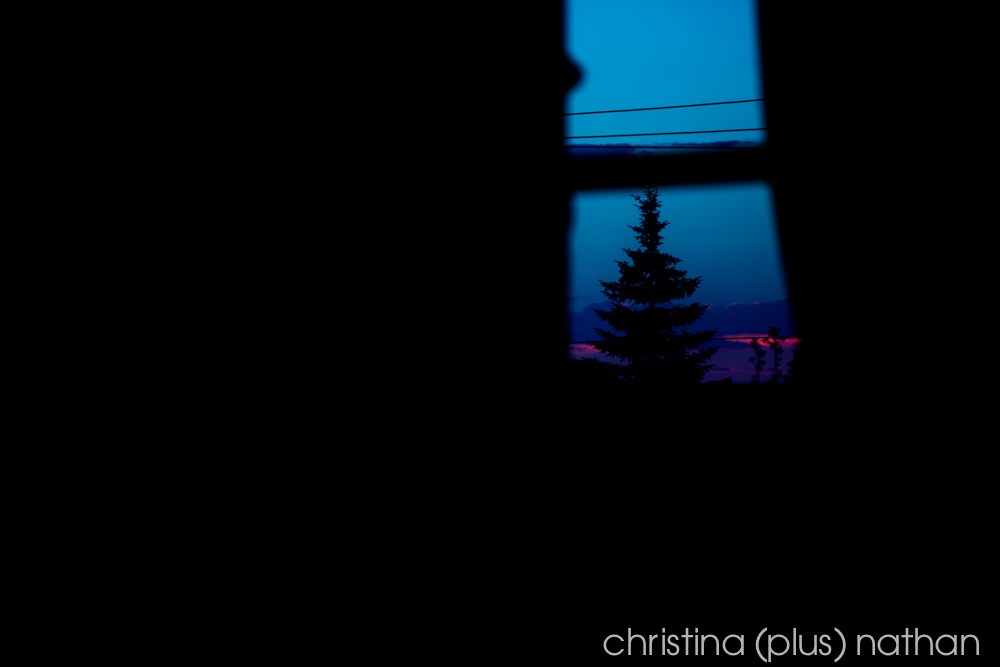 Calgary-indian-wedding-photos-7