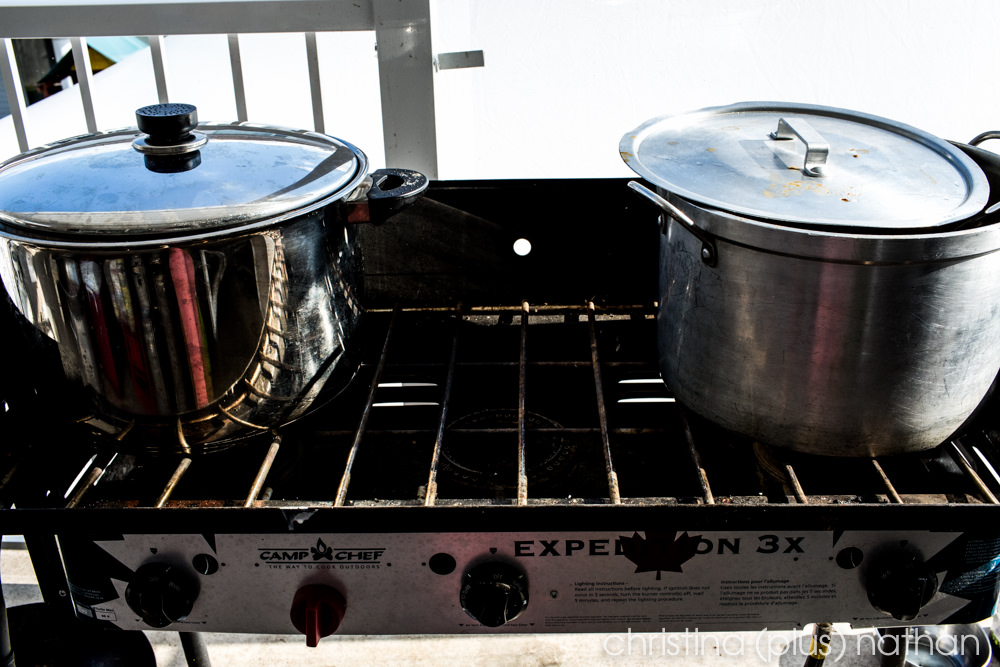 Indian-wedding-calgary-photographers-3