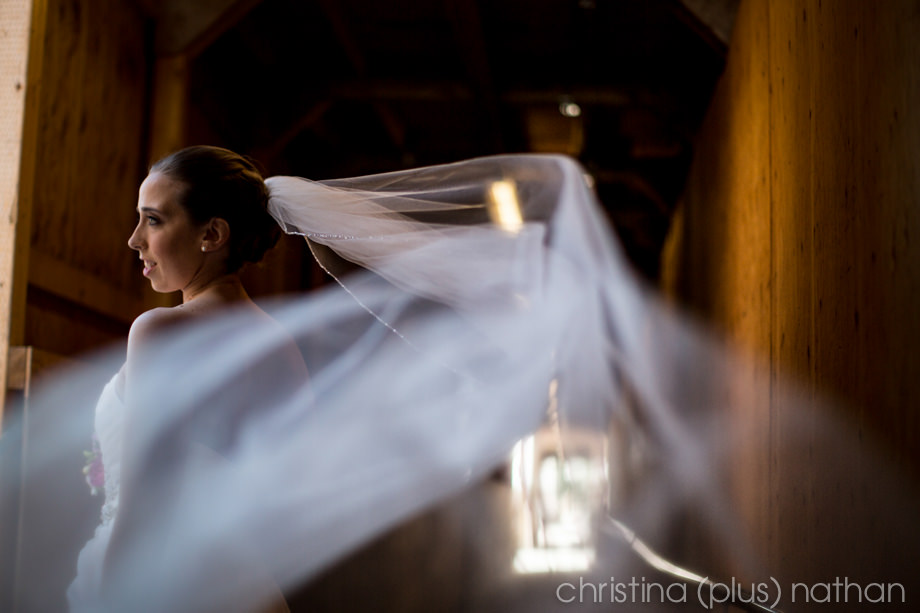 Calgary wedding photos