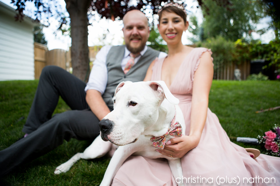 Wedding photograph of bride and groom with white pit bull dog after wedding ceremony