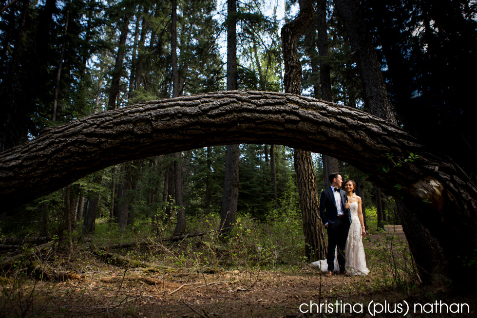 Wedding photo in Fish Creek Park photographed by christina (plus) nathan