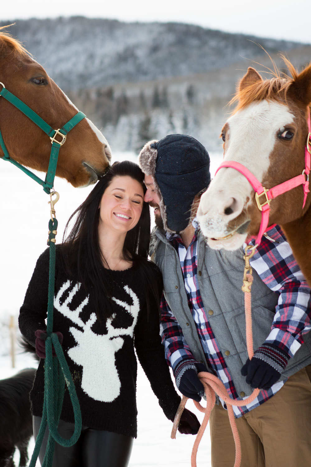 engagement photography with two horses during winter